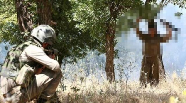"78 PKK terrorçusu təslim olub"