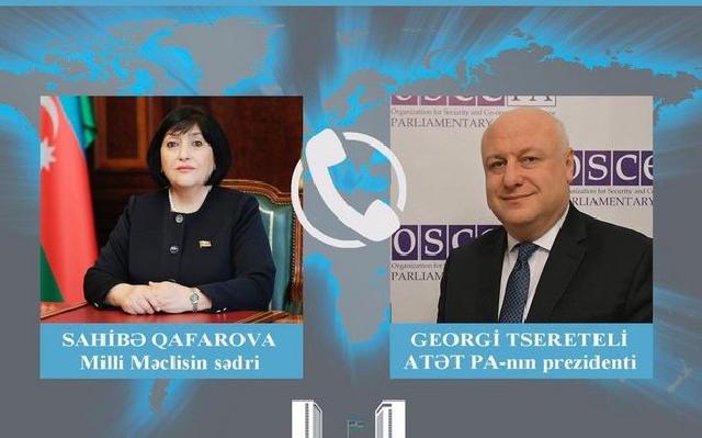 Sahibə Qafarova ATƏT PA-nın prezidenti ilə telefonla danışıb