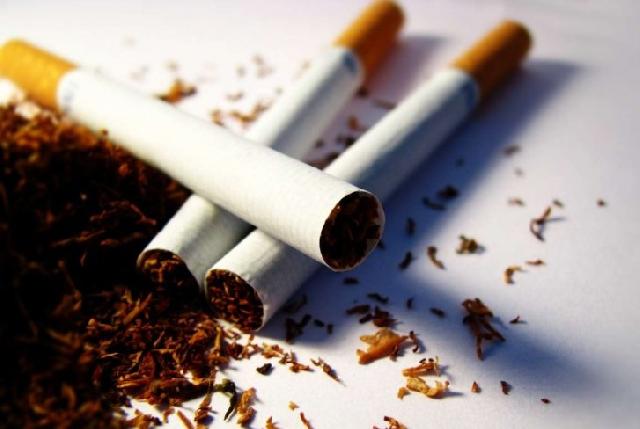 Tütün məmulatlarının istehsalı kəskin azalıb - FOTO