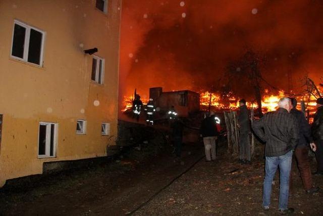 Türkiyədə baş vermiş yanğın nəticəsində bir kəndin 10 evi yanıb külə döndü - VİDEO