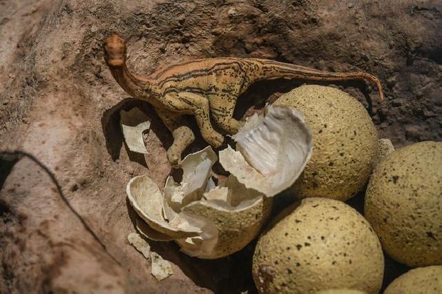 Dinozavr yumurtalarının qalıqları aşkar edildi