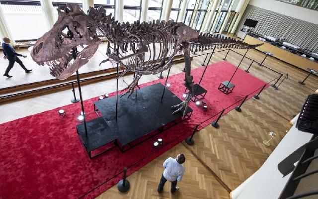 Dinozavr skeleti 5.3 milyon dollara satıldı