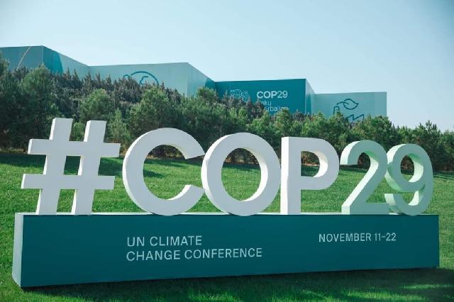 COP29 QHT-lər üçün unikal ŞANSDIR